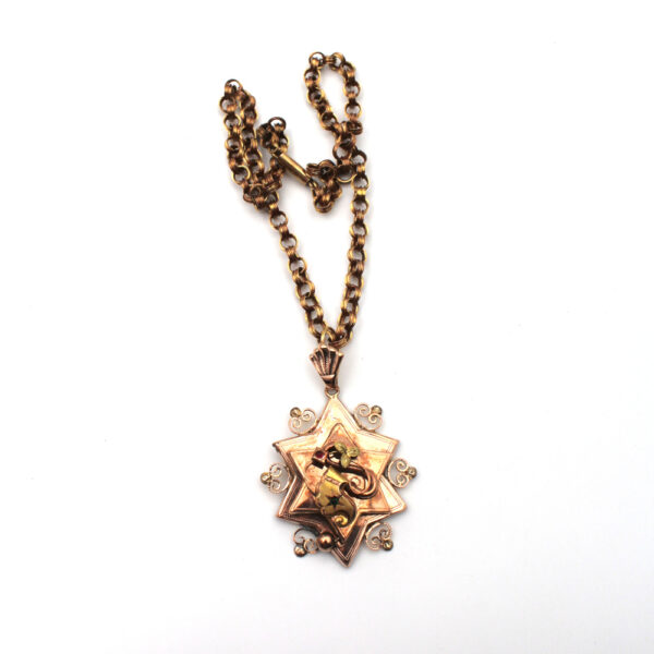 Collana borbonica con ciondolo a stella in oro rosso